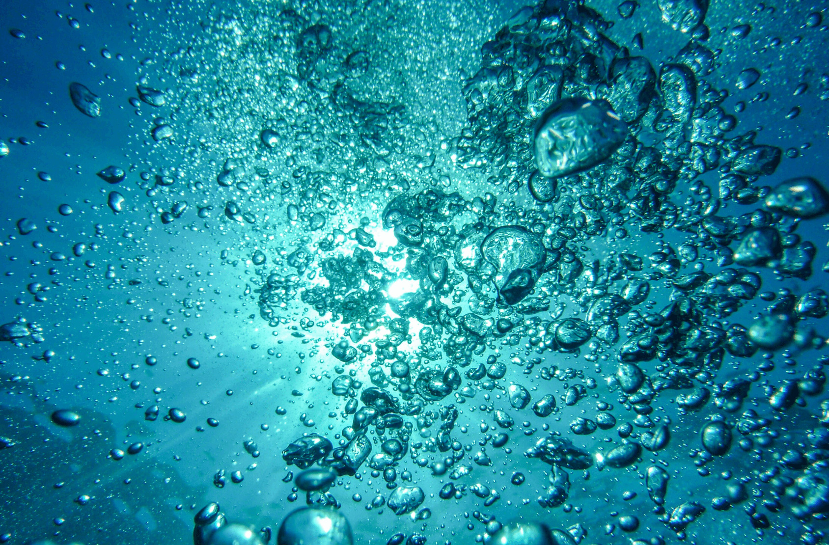 1日の水分量、足りてますか?