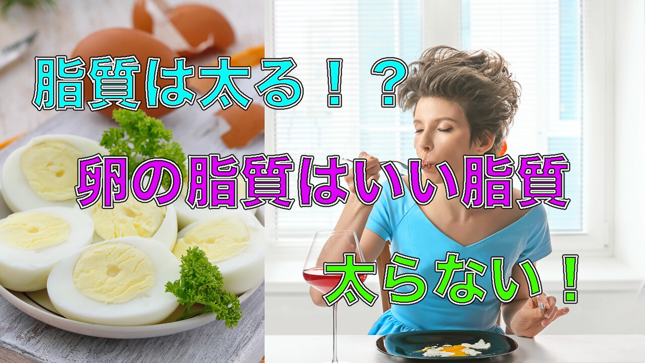 卵は太る?太らない?