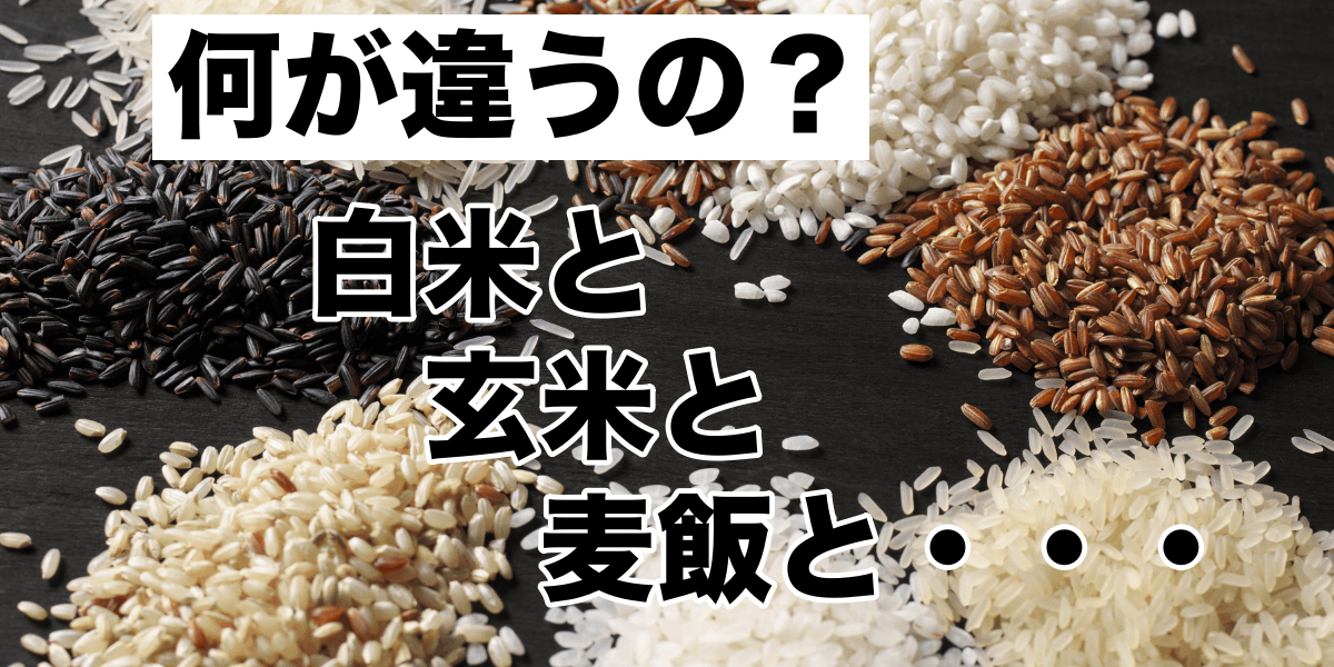 【何が違うの?】白米と玄米と麦飯と・・・