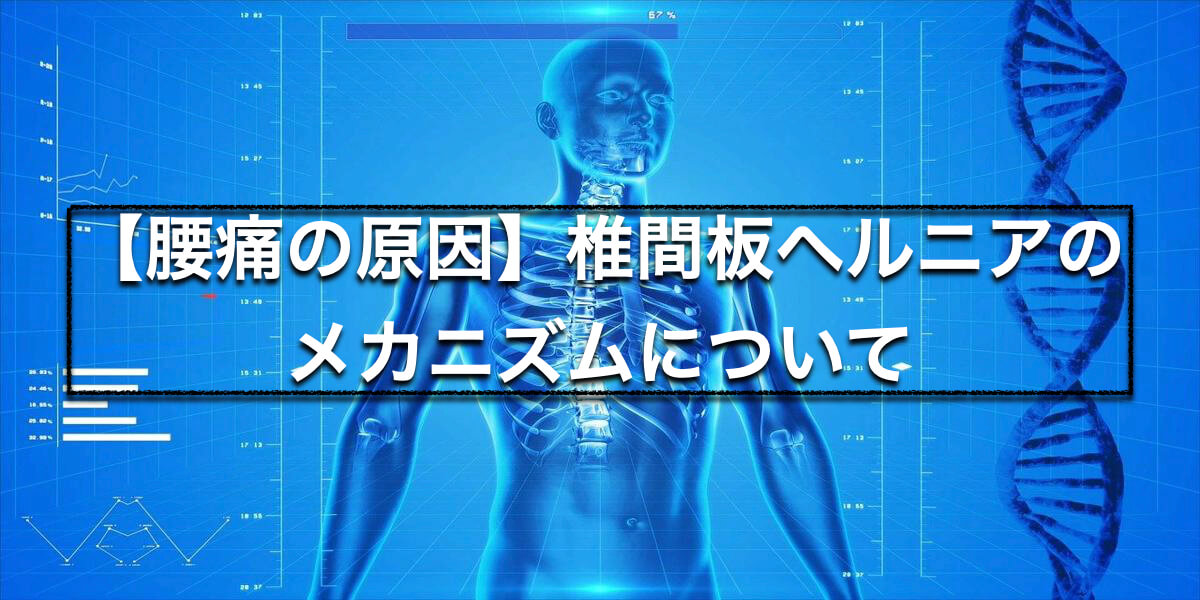 【腰痛の原因】椎間板ヘルニアのメカニズムについて