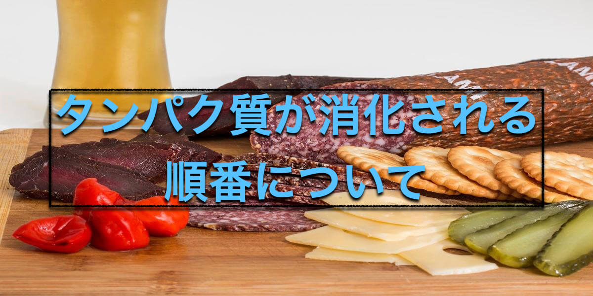 タンパク質が消化される順番について