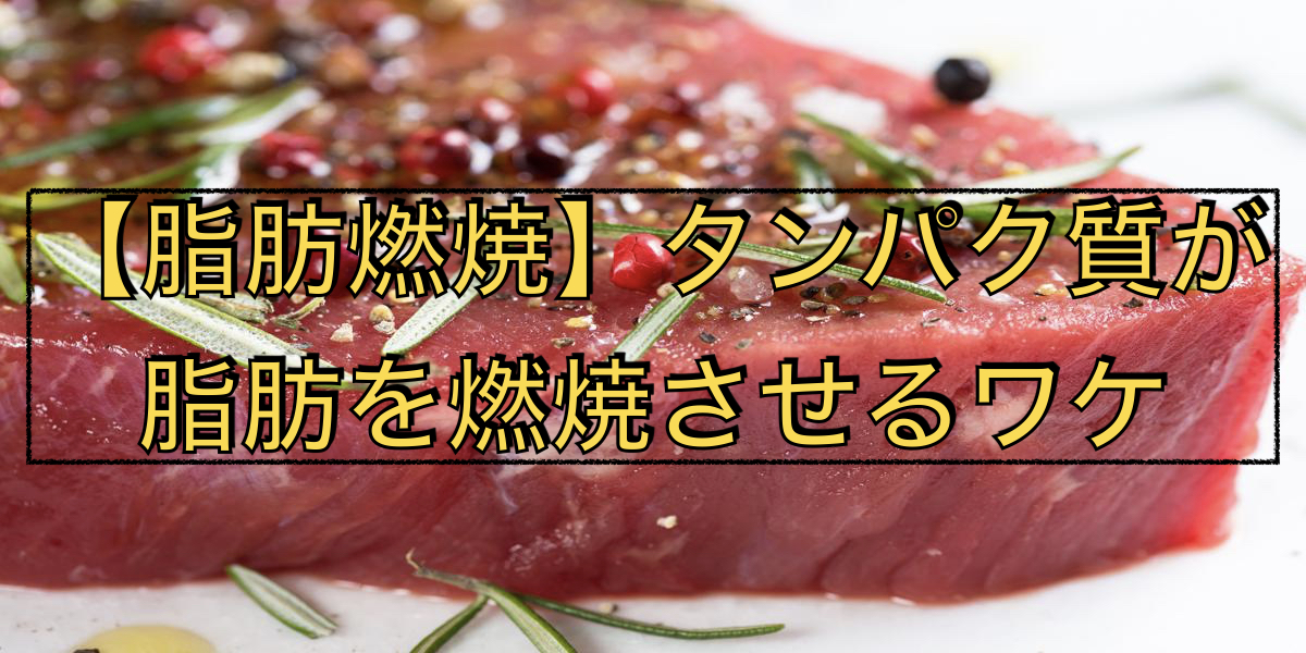 【脂肪燃焼】タンパク質が脂肪を燃焼させるワケ