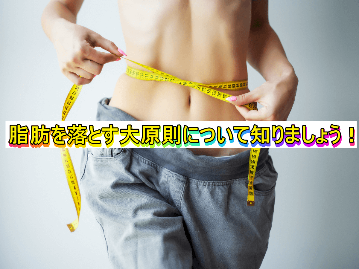 脂肪を落とす大原則について知りましょう!
