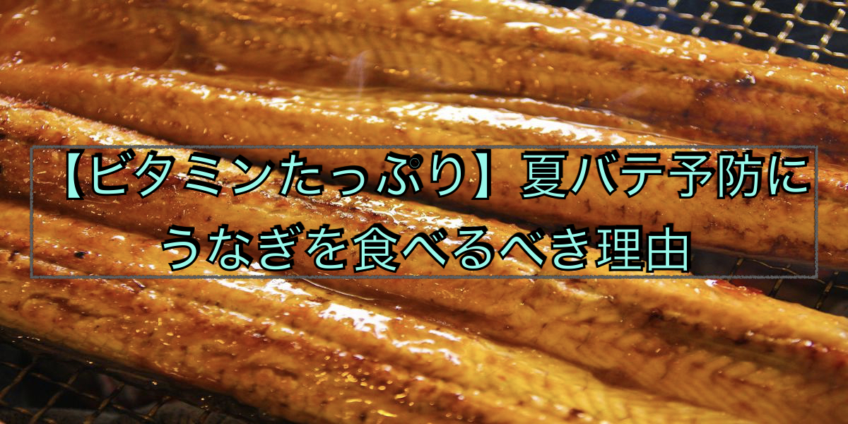 【ビタミンたっぷり】夏バテ予防にうなぎを食べるべき理由