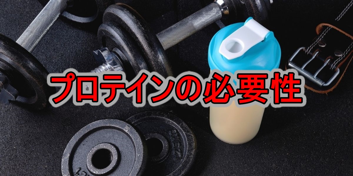 プロテインの必要性