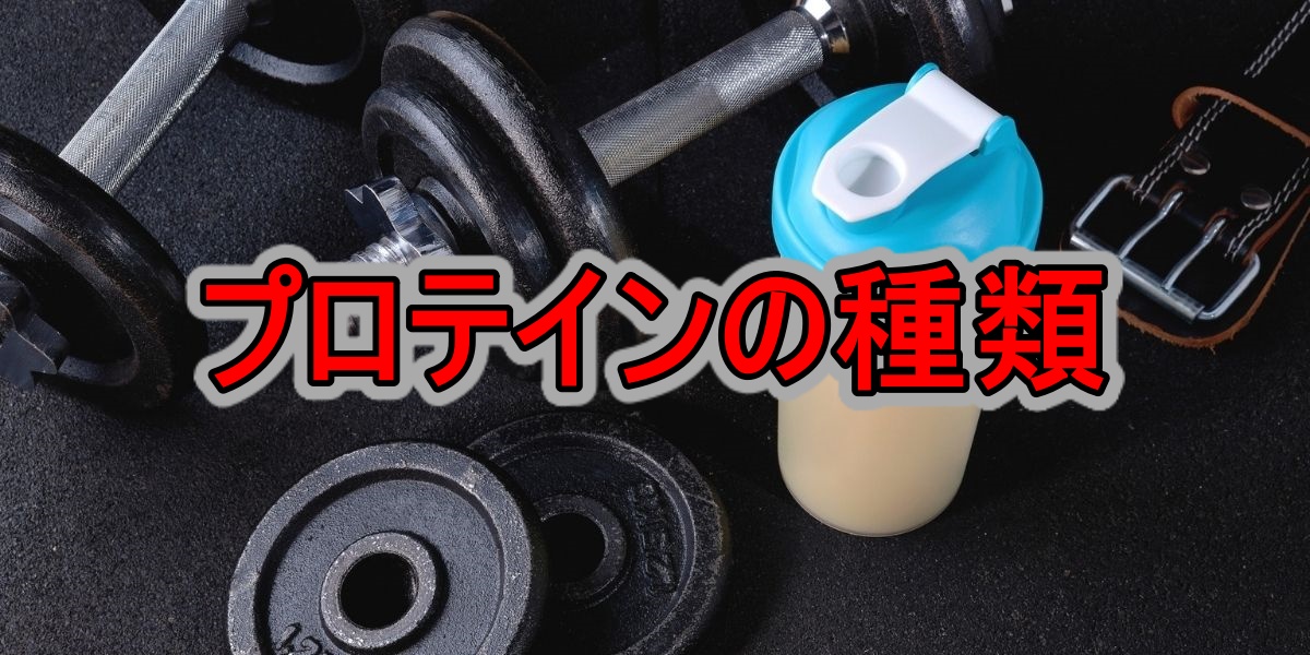プロテインの種類