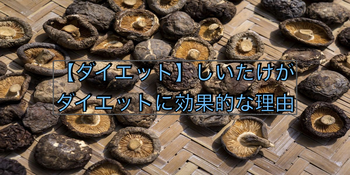 【ダイエット】しいたけがダイエットに効果的な理由
