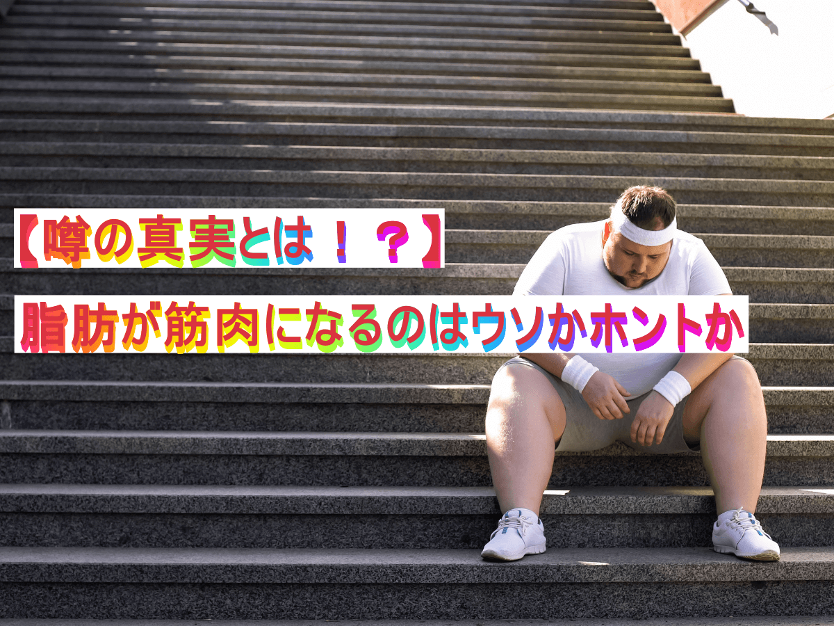 【噂の真実とは!?】脂肪が筋肉になるのはウソかホントか