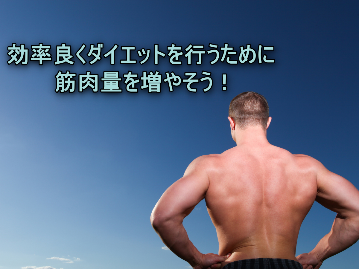 効率良くダイエットを行うために筋肉量を増やそう!