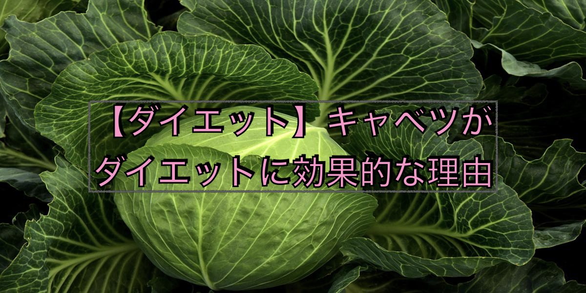 【ダイエット】キャベツがダイエットに効果的な理由