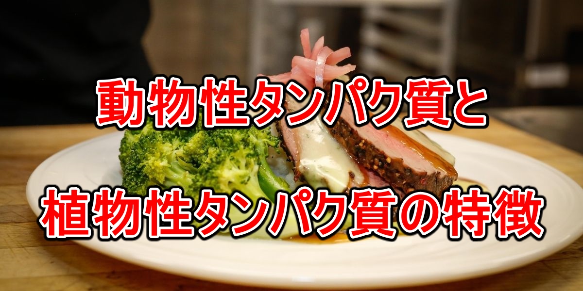 動物性タンパク質と植物性タンパク質の特徴