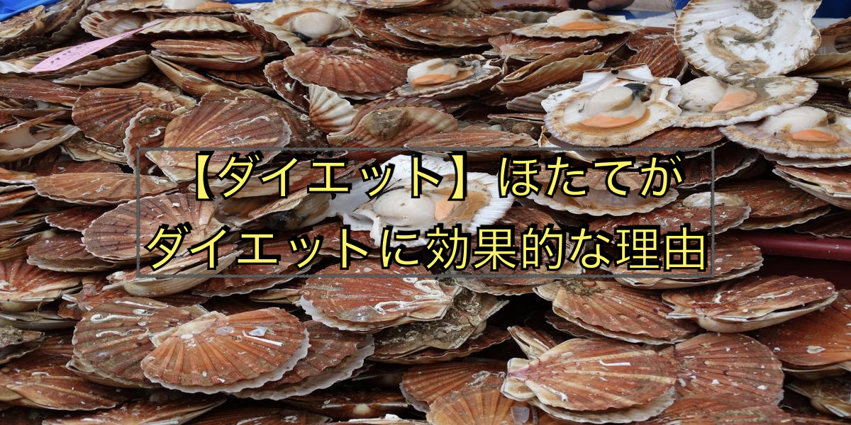 【ダイエット】ほたてがダイエットに効果的な理由