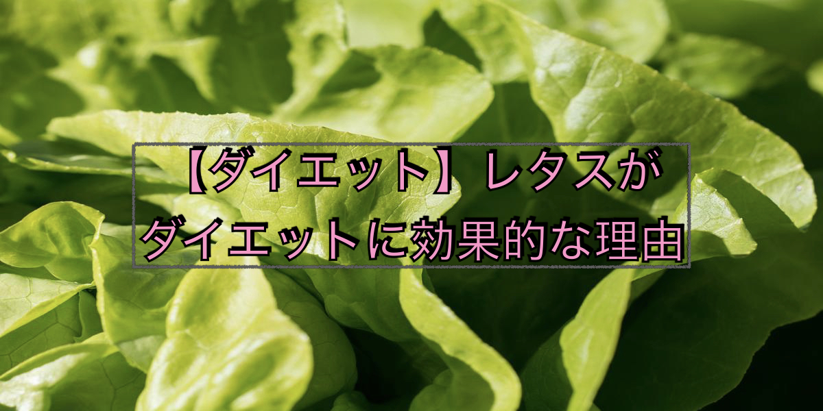 【ダイエット】レタスがダイエットに効果的な理由