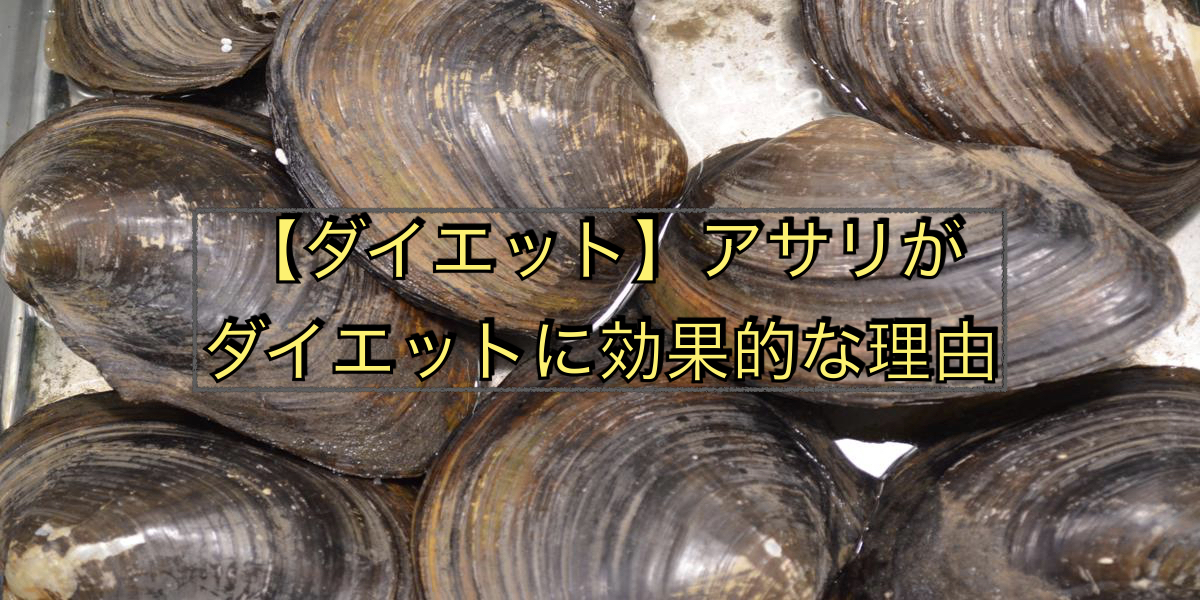 【ダイエット】アサリがダイエットに効果的な理由