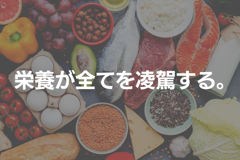 理想的な体型を作る為に必須となる「栄養」によるボディメイク術