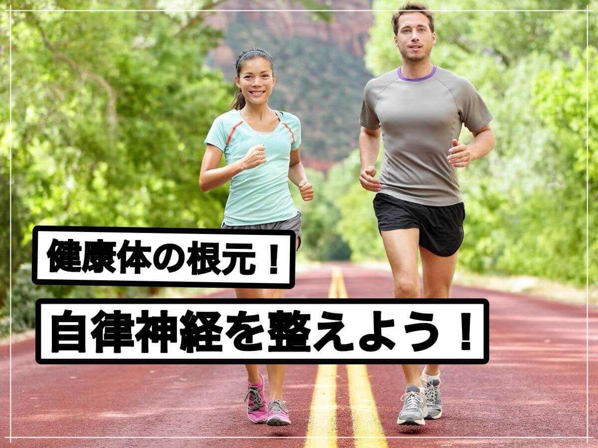 健康体に欠かせない自律神経について解説