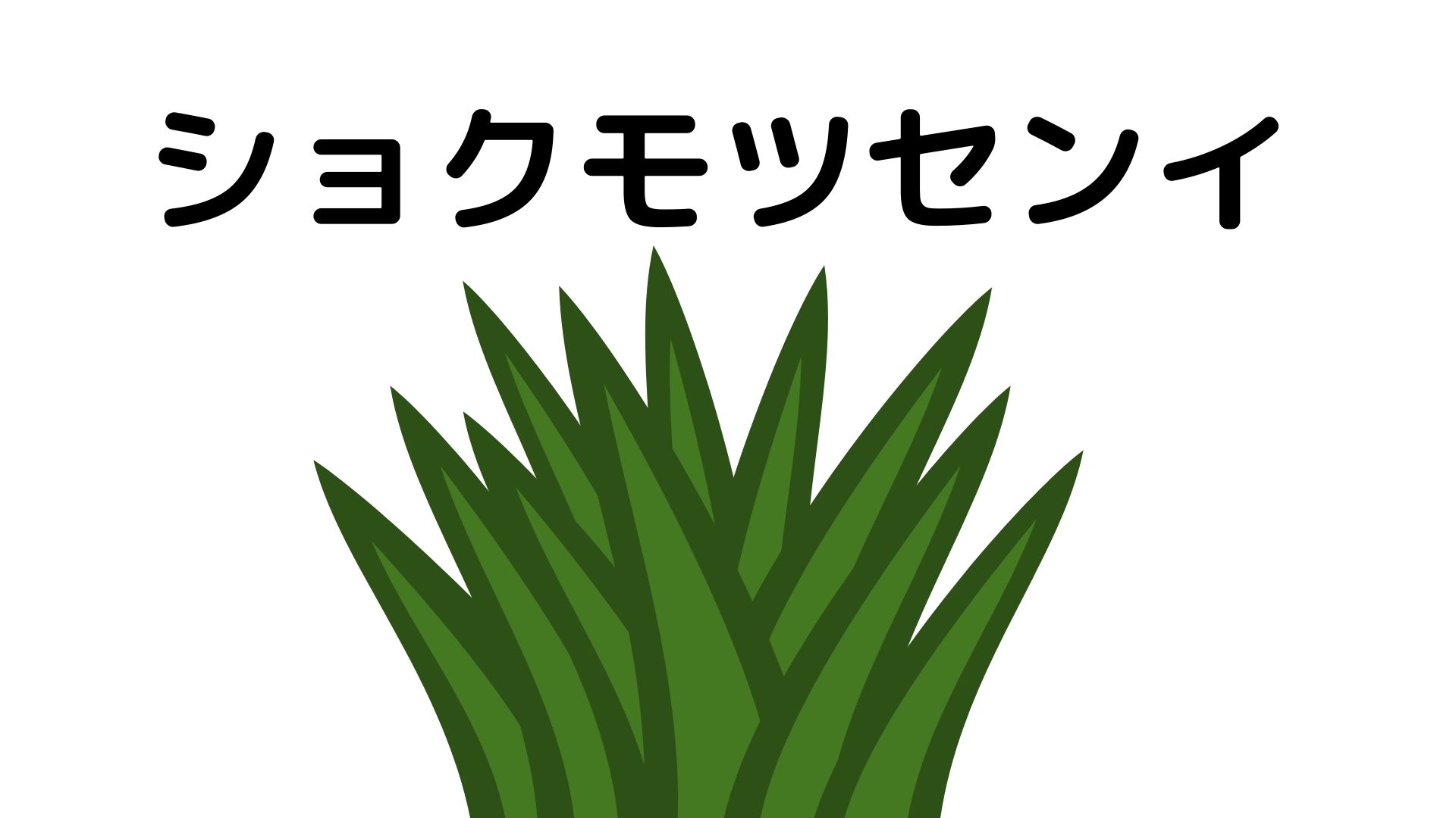 ダイエットをする人は食物繊維を大切にしないと損