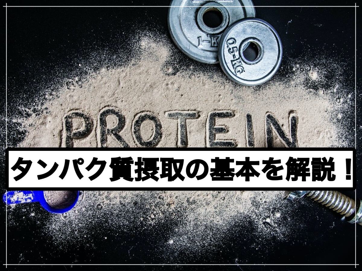 ダイエット食の基本!タンパク質の適切な摂り方について