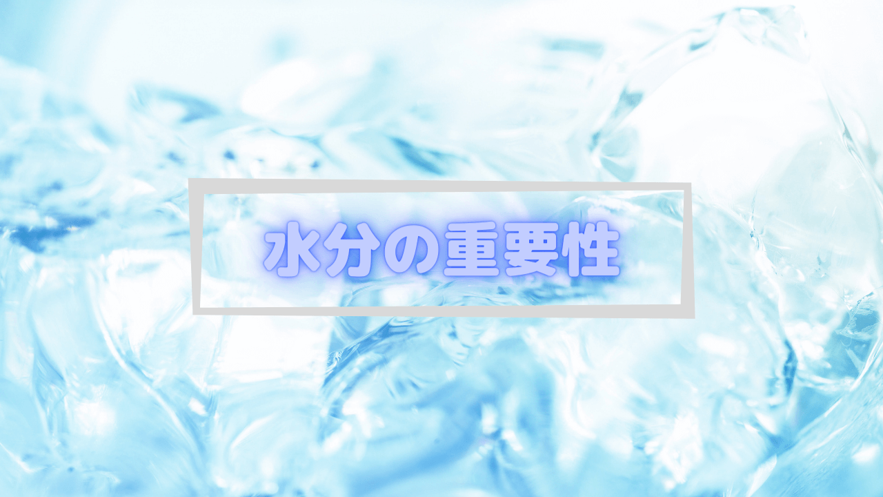 水分の重要性