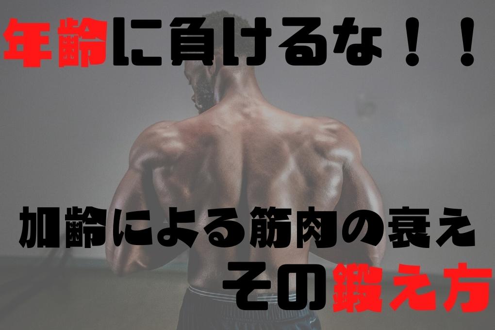 加齢によって衰えやすい筋肉とは?一から鍛えるためのおすすめ筋トレメニュー!