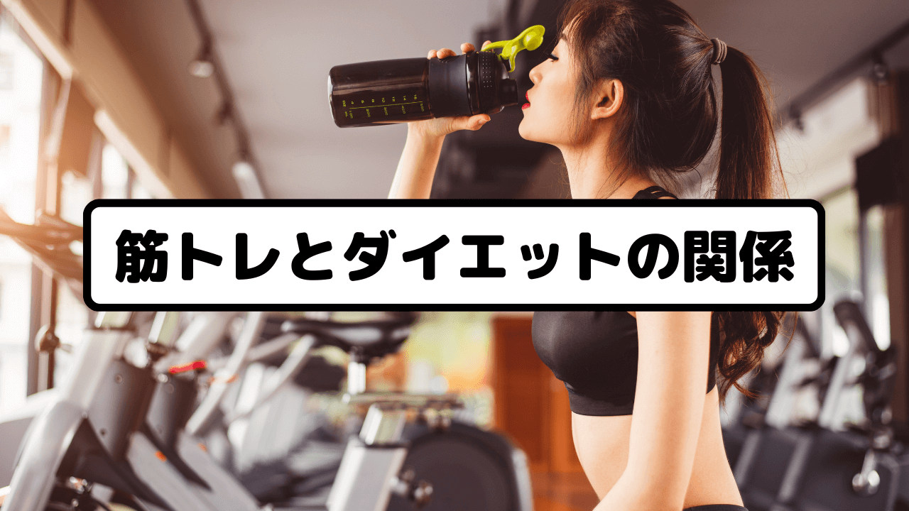 筋トレとダイエットの関係