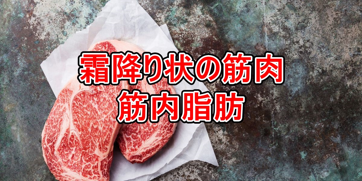 霜降り状の筋肉、筋内脂肪