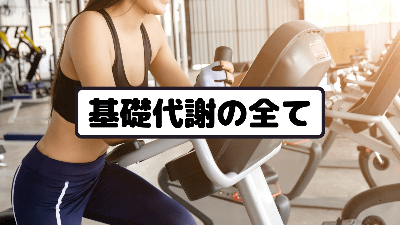 基礎代謝の全て