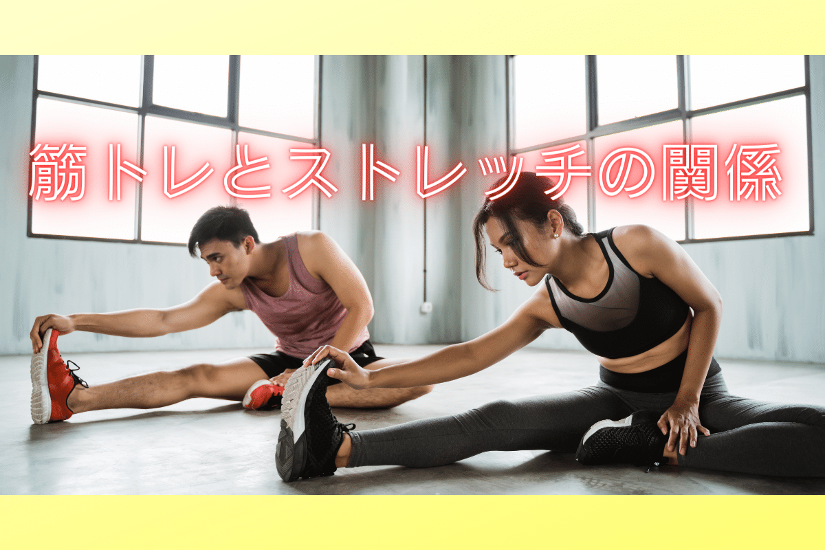 筋トレとストレッチを知り痩せよう!!