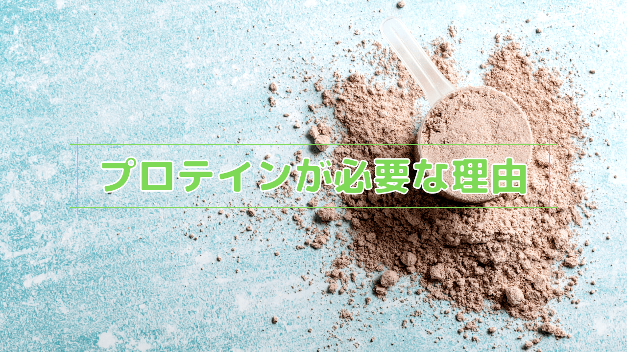 プロテインが必要な理由