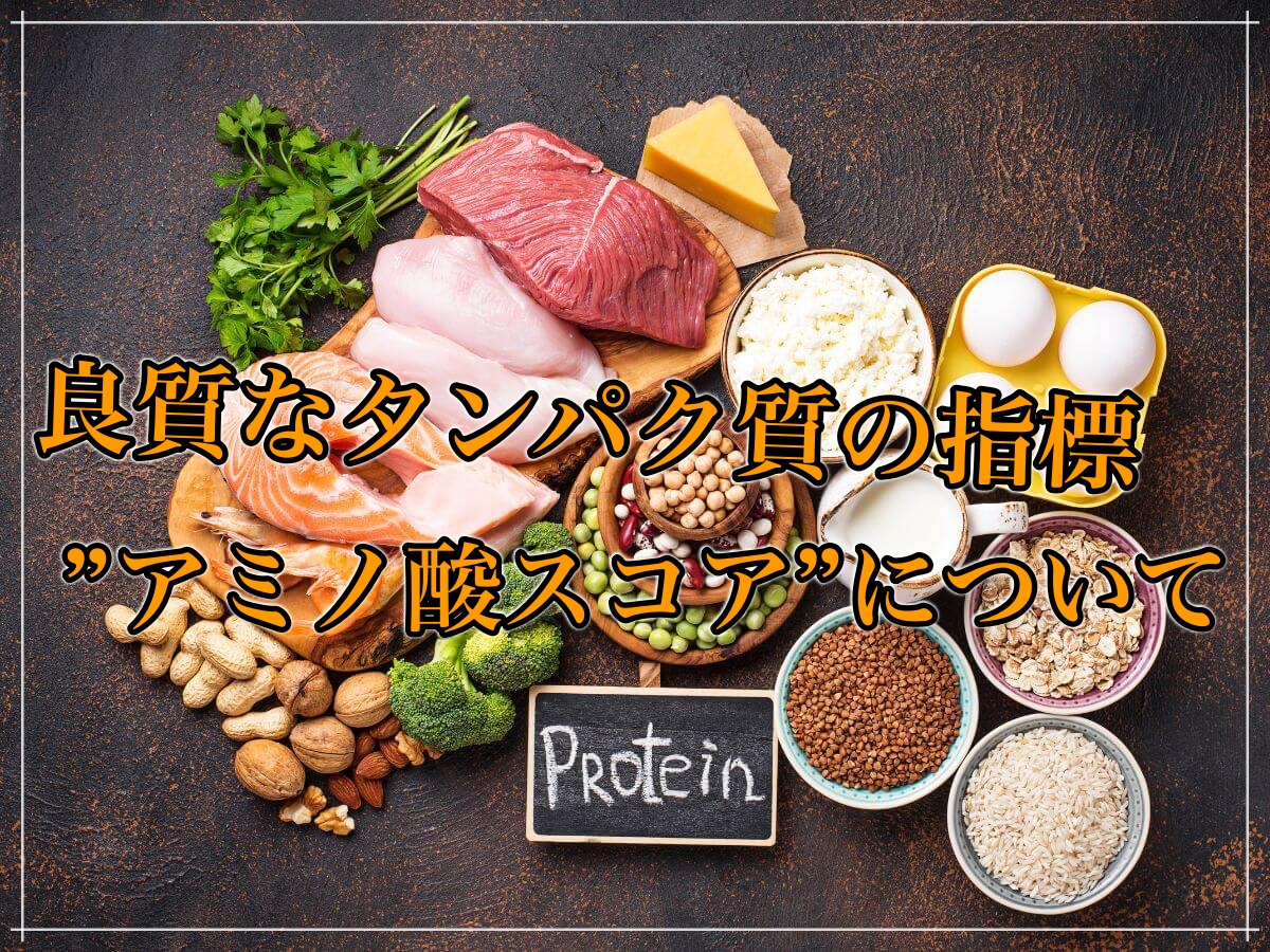 タンパク質の”質”を決めるアミノ酸スコアについて知ろう!
