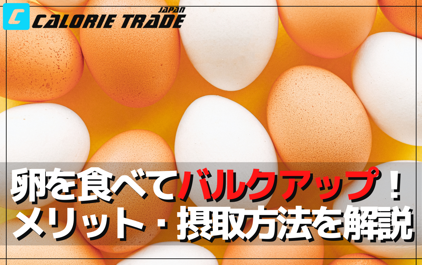 最強のタンパク源!?バルクアップに卵がおすすめな理由
