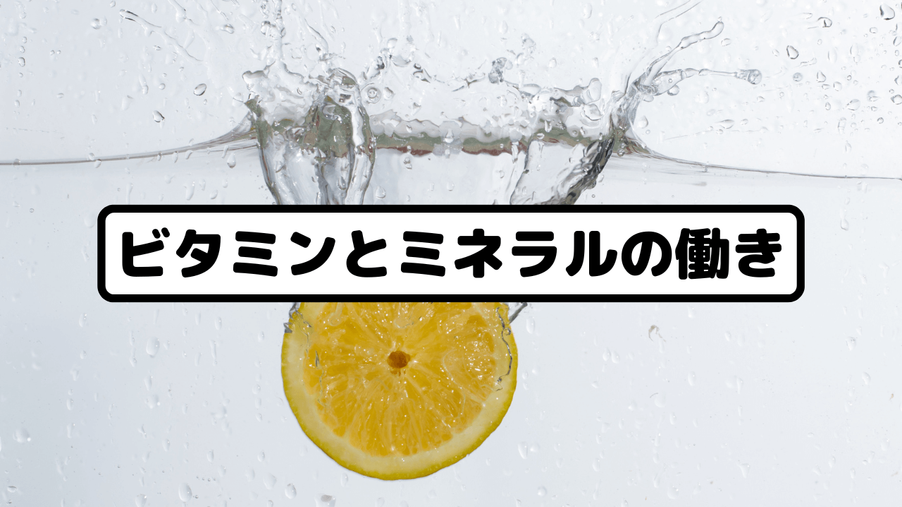 ビタミンとミネラルの働き