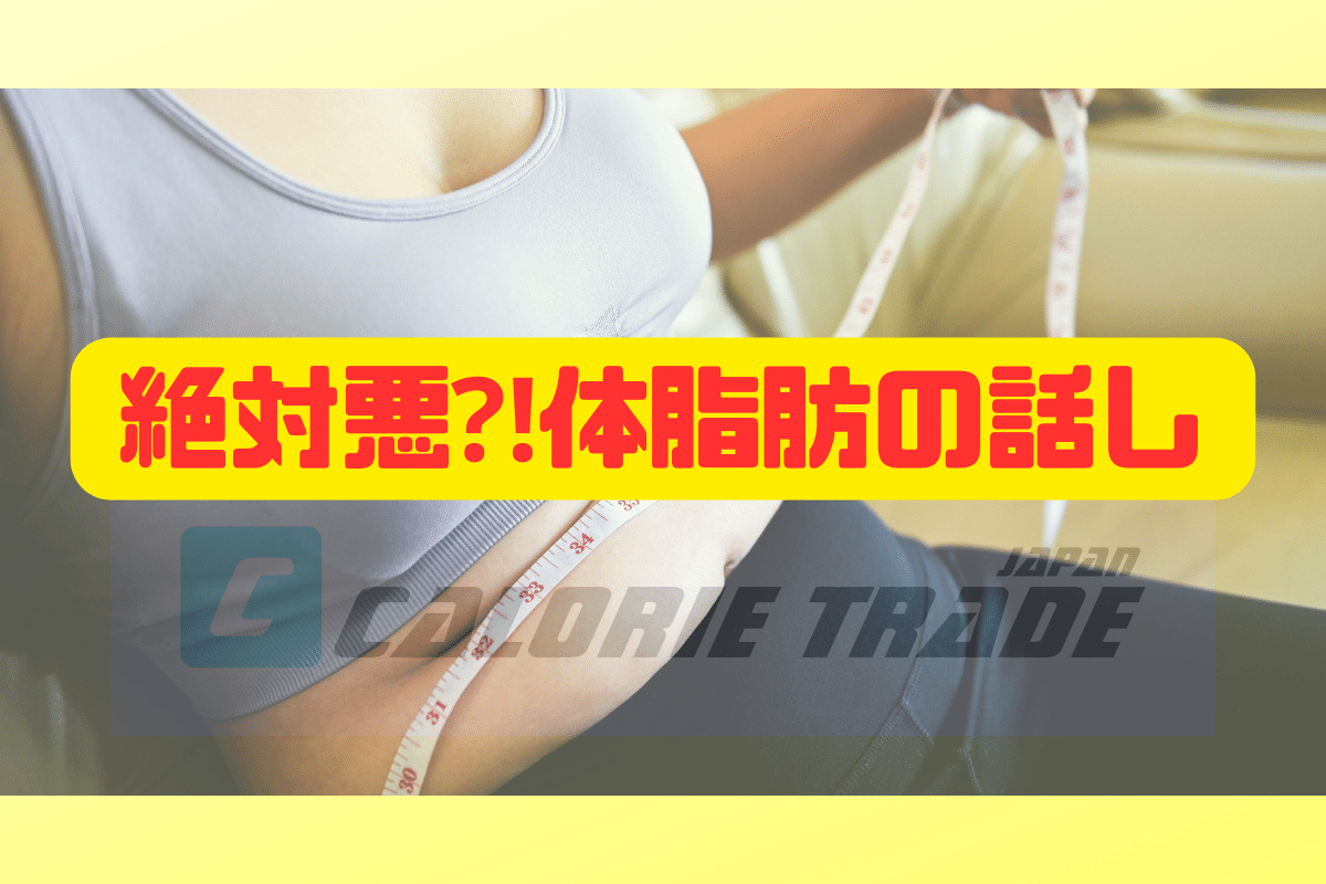 絶対悪⁈体脂肪の話し