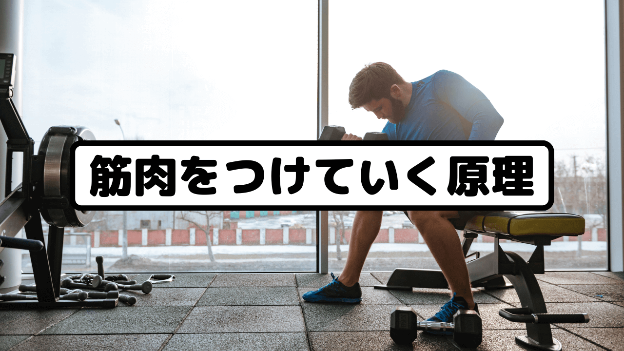 筋肉をつけていく原理