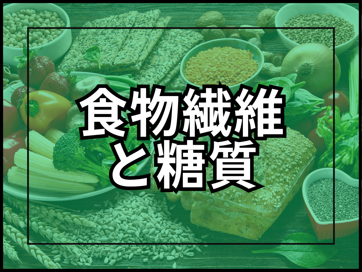 食物繊維と糖質の共通点と相違点について