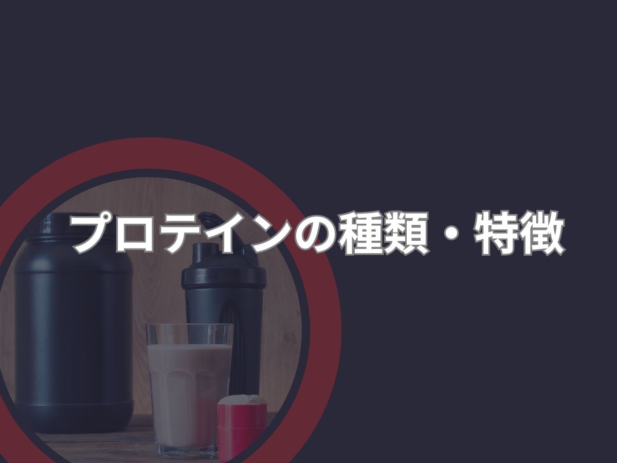 プロテインの種類
