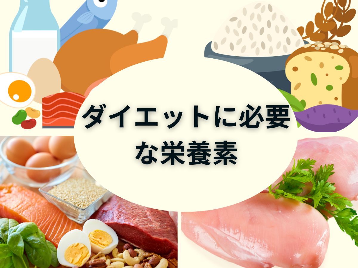 ダイエットに必要な栄養素