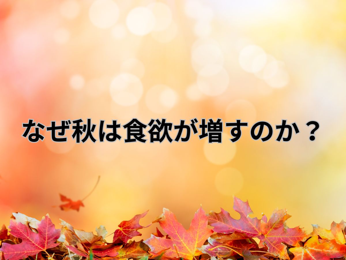 なぜ秋は食欲が増すのか?