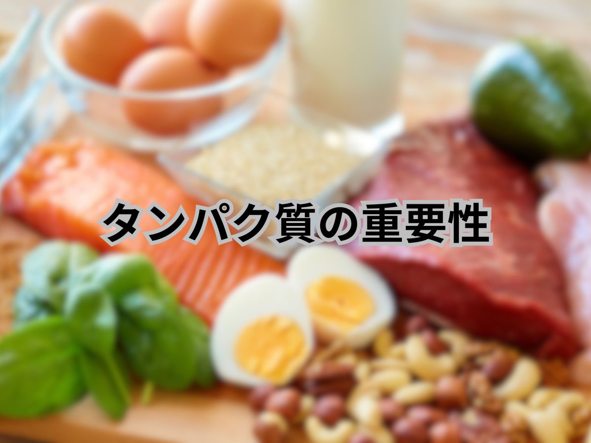 タンパク質の重要性について!
