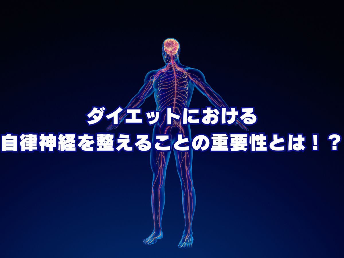 ダイエットにおける自律神経を整えることの重要性とは！？