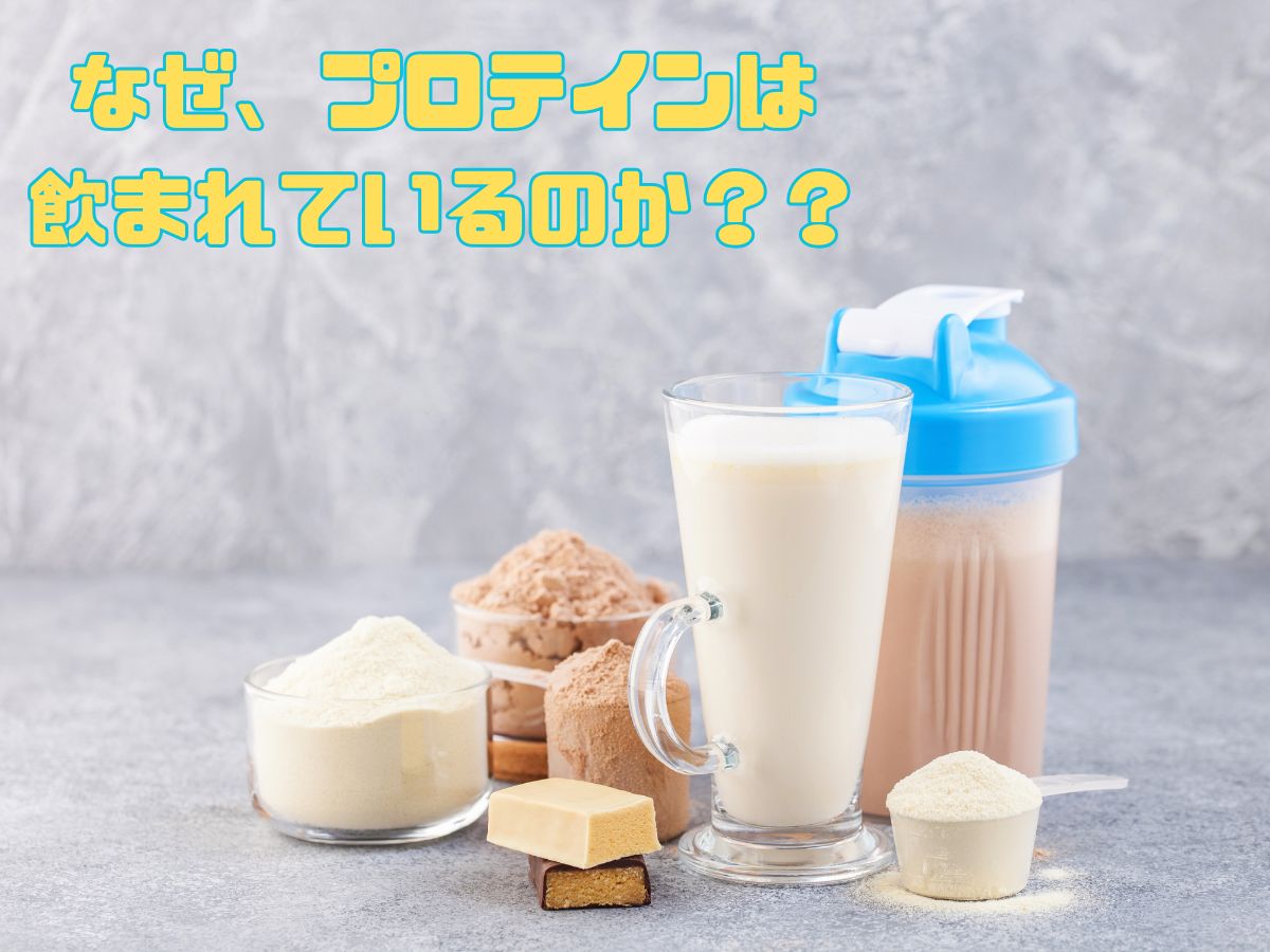 なぜたんぱく質を取るのか？？プロテインの摂取タイミングは？？