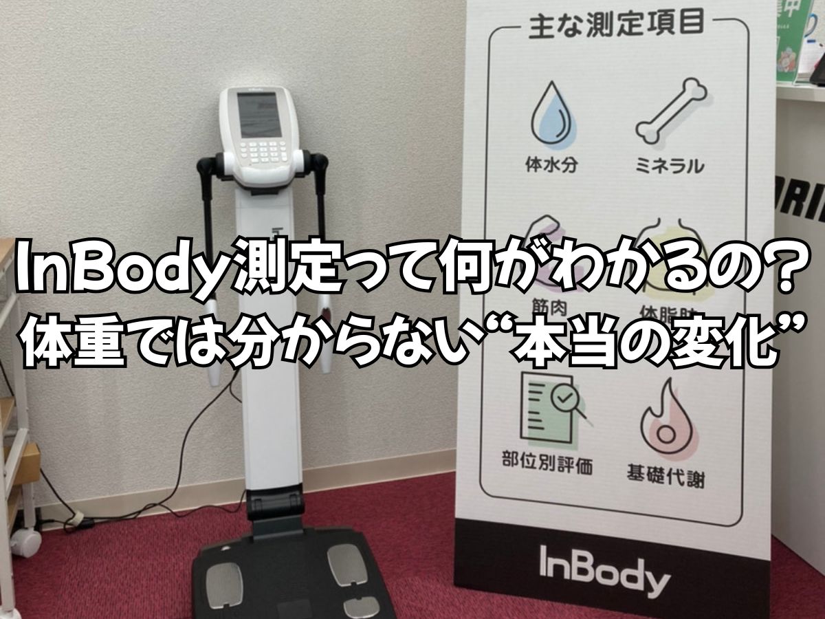 【完全解説】InBody測定って何がわかるの？